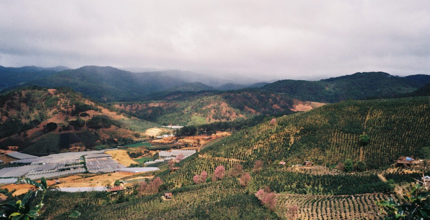 du lịch