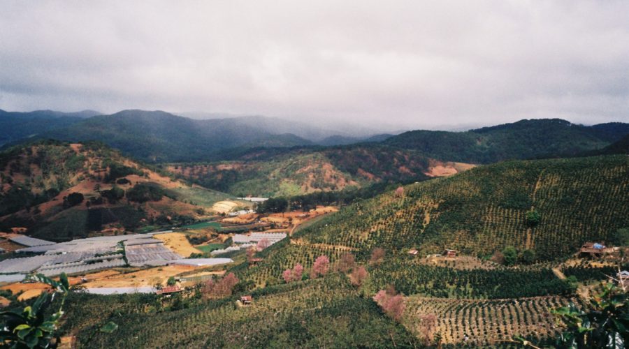 du lịch