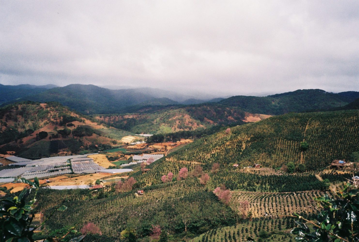 du lịch