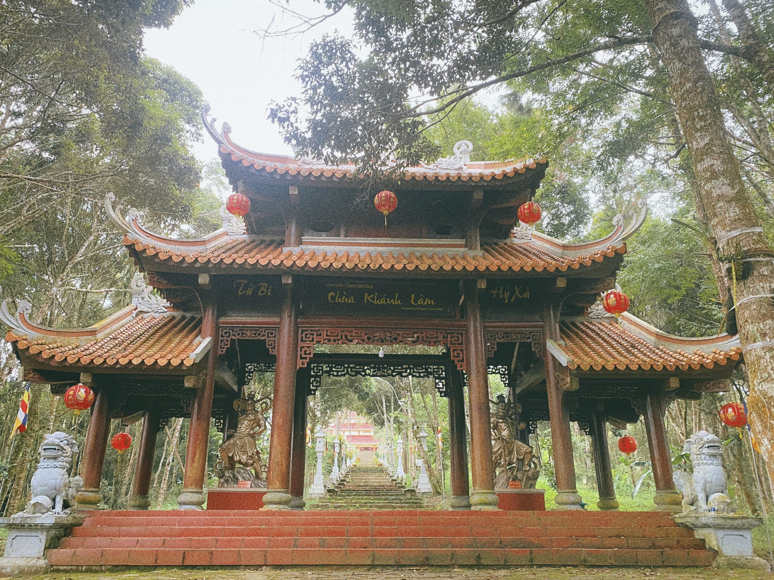 măng đen