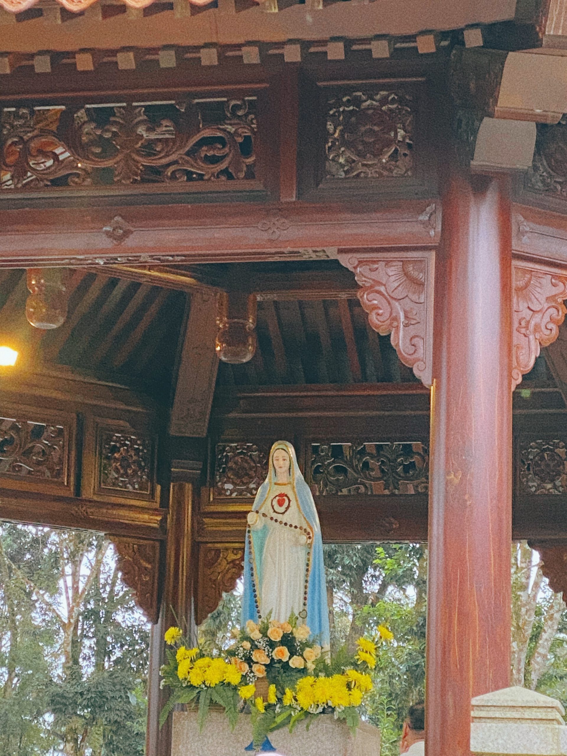 măng đen